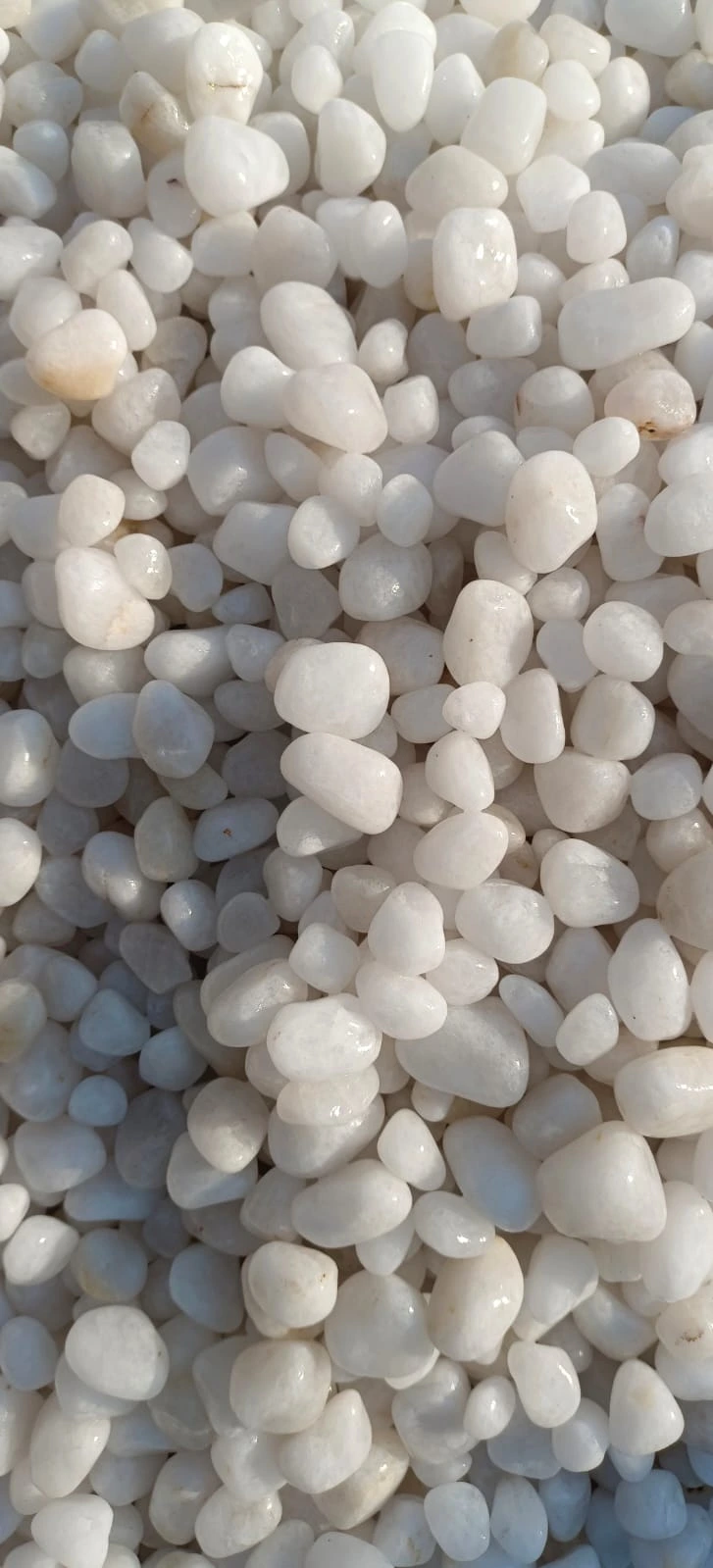 Natural River Pebbles